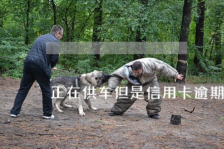 正在供车但是信用卡逾期了 正在供车但是信用卡逾期了