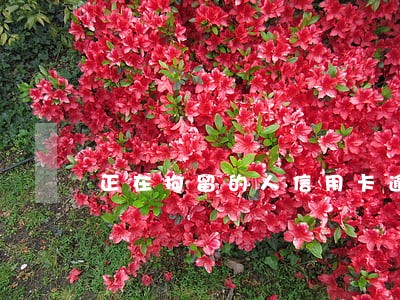 正在拘留的人信用卡逾期咋办 正在拘留的人信用卡逾期咋办