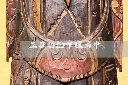 正在诉讼审理当中 正在诉讼审理当中