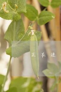 正在进行中尚未诉讼 正在进行中尚未诉讼