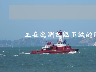 正在逾期也能下款的网贷 正在逾期也能下款的网贷