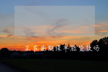 正在逾期保单能贷款吗 正在逾期保单能贷款吗