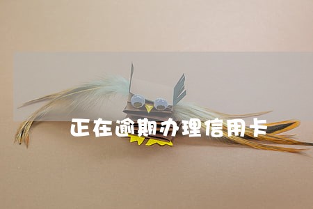 正在逾期办理信用卡 正在逾期办理信用卡