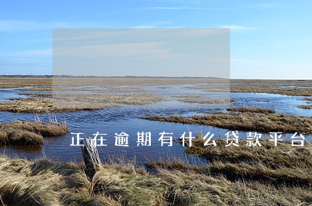 正在逾期有什么贷款平台 正在逾期有什么贷款平台
