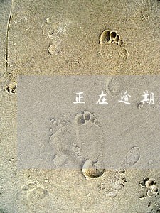 正在逾期能申请贷款吗 正在逾期能申请贷款吗