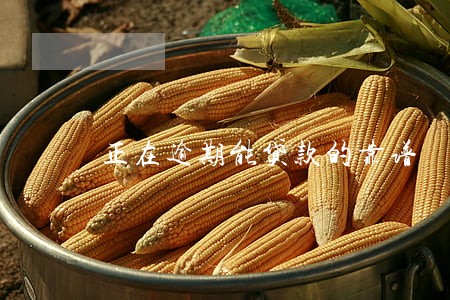正在逾期能贷款的靠谱 正在逾期能贷款的靠谱