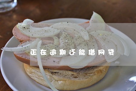 正在逾期还能借网贷 正在逾期还能借网贷