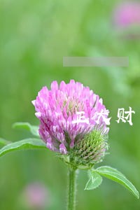 正大财富逾期人昆明名单 正大财富逾期人昆明名单