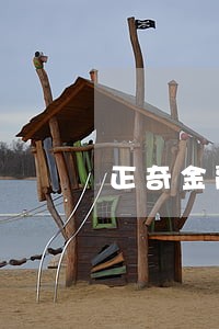 正奇金融2018逾期 正奇金融2018逾期