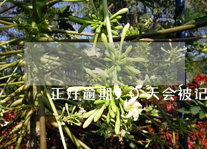 正好逾期90天会被记录不良嘛 正好逾期90天会被记录不良嘛