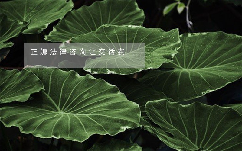 正娜法律咨询让交话费 正娜法律咨询让交话费