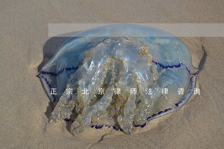 正宗北京律师法律咨询 正宗北京律师法律咨询