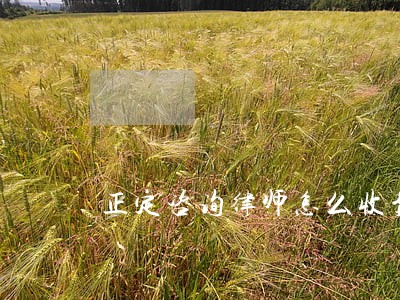 正定咨询律师怎么收费 正定咨询律师怎么收费