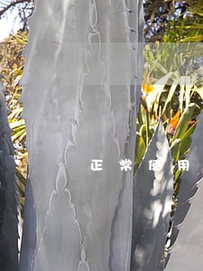 正常使用信用卡后逾期怎么办 正常使用信用卡后逾期怎么办
