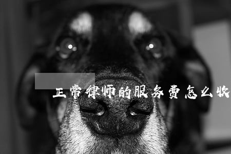 正常律师的服务费怎么收 正常律师的服务费怎么收