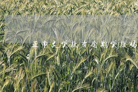 正常类贷款有逾期贷款吗 正常类贷款有逾期贷款吗