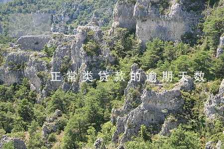 正常类贷款的逾期天数 正常类贷款的逾期天数