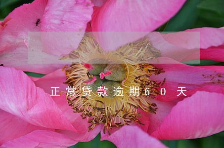 正常贷款逾期60天 正常贷款逾期60天