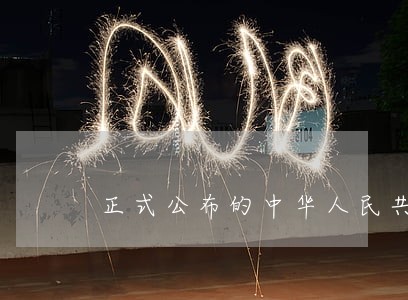 正式公布的中华人民共和国民法典全文 正式公布的中华人民共和国民法典全文