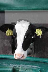 正式发布重大违法强制退市新规 正式发布重大违法强制退市新规