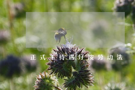 正式工待遇好按劳动法
