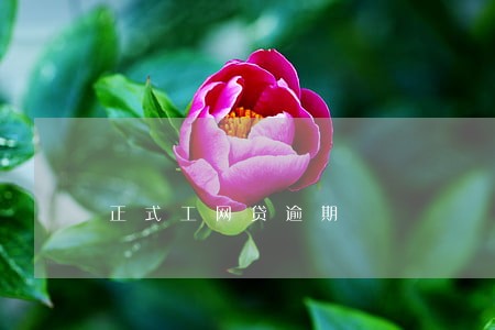 正式工网贷逾期 正式工网贷逾期