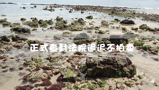 正式查封法院迟迟不拍卖 正式查封法院迟迟不拍卖