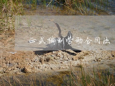 正式编制劳动合同法