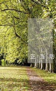 正当防卫制度的适用 正当防卫制度的适用