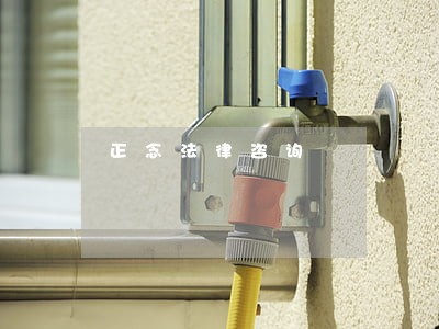正念法律咨询 正念法律咨询
