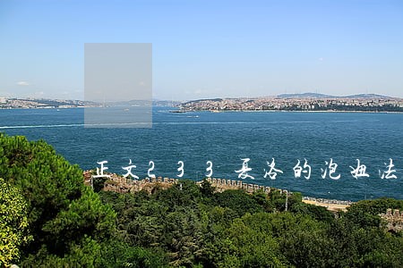 正文233夏洛的泡妞法典 正文233夏洛的泡妞法典