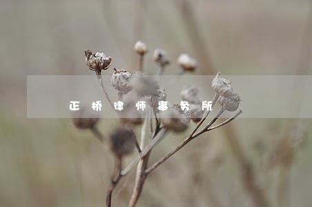 正桥律师事务所 正桥律师事务所