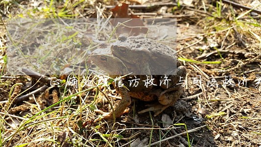 正确处理信访救济与司法救济关系 正确处理信访救济与司法救济关系