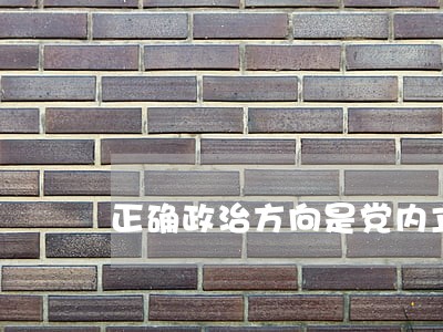 正确政治方向是党内立法之魂