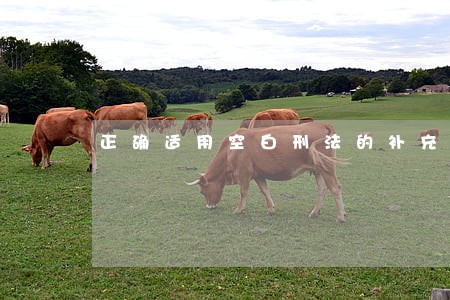 正确适用空白刑法的补充规范
