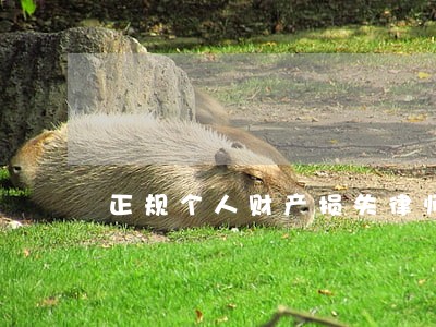 正规个人财产损失律师收费 正规个人财产损失律师收费