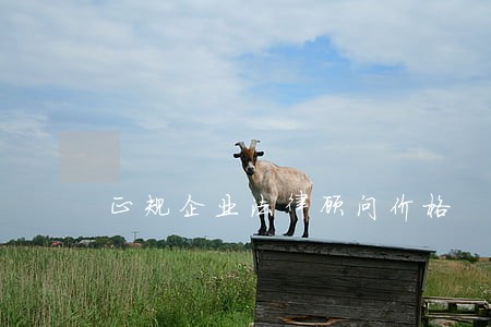 正规企业法律顾问价格 正规企业法律顾问价格