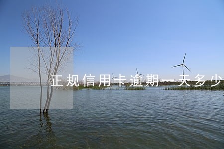正规信用卡逾期一天多少利息