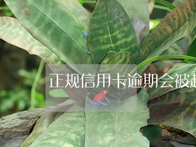 正规信用卡逾期会被起诉吗 正规信用卡逾期会被起诉吗