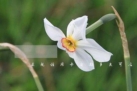 正规信用卡逾期多久可以申请