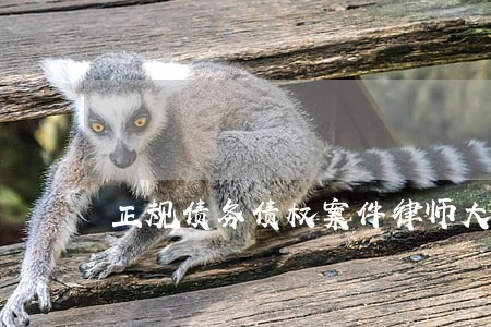 正规债务债权案件律师大概费用