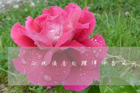 正规债务处理律师咨询问题