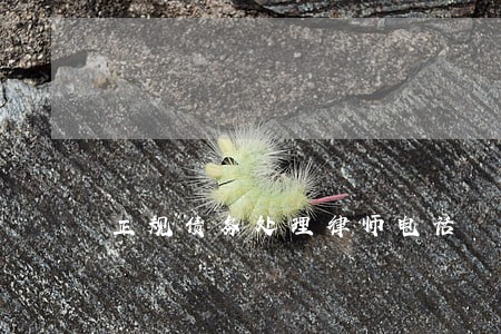 正规债务处理律师电话 正规债务处理律师电话