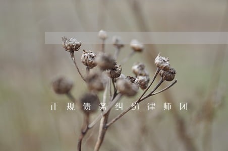 正规债务纠纷律师团 正规债务纠纷律师团