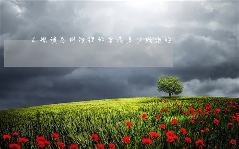 正规债务纠纷律师要花多少钱违约 正规债务纠纷律师要花多少钱违约
