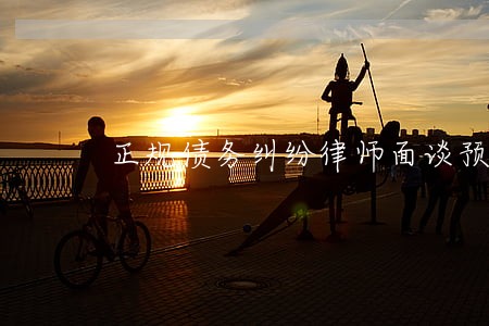 正规债务纠纷律师面谈预约 正规债务纠纷律师面谈预约