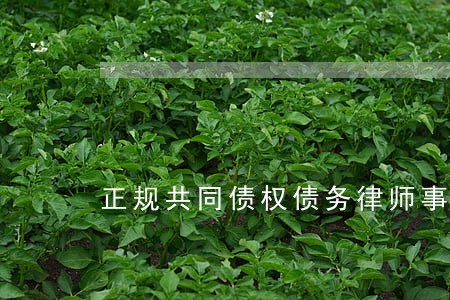 正规共同债权债务律师事务所 正规共同债权债务律师事务所