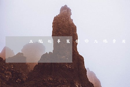 正规刑事案律师大概费用 正规刑事案律师大概费用