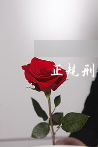 正规刑事诉讼律师服务保障 正规刑事诉讼律师服务保障