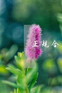 正规合同纠纷律师费用 正规合同纠纷律师费用